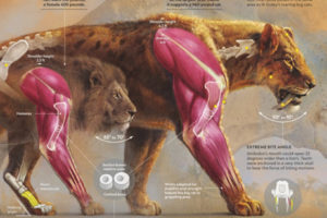 Fernando G. Baptista: Infografia zientifikoaren esploratzailea