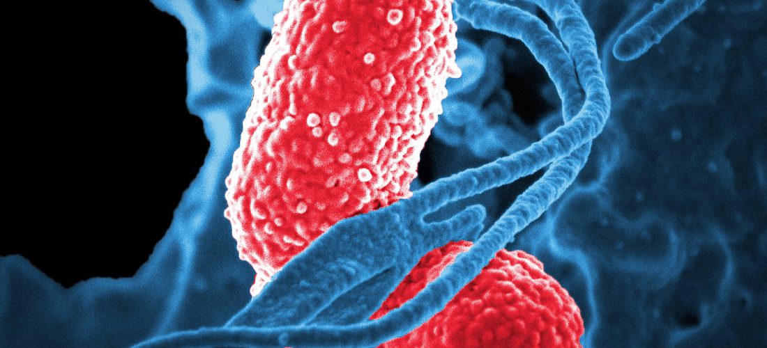 Inmersión en nanociencia y nanotecnología
