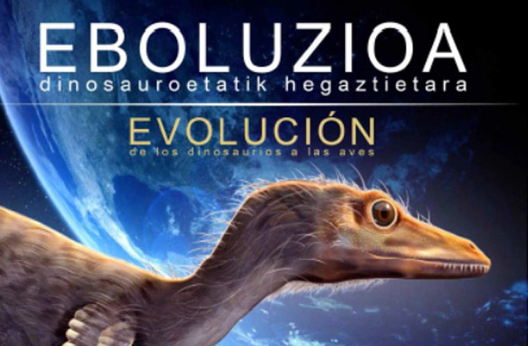 Eboluzioa: Dinosauroetatik hegaztietara
