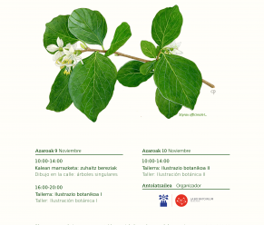 Ilustrazio  botanikoa  –  Bergaran  Artea  eta  Zientzia  uztartuz,  IV.  edizioa