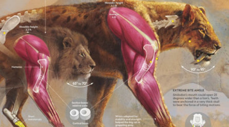 Fernando G. Baptista: El explorador de la infografía científica